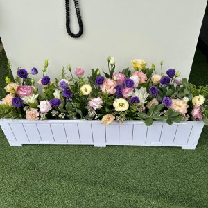 Bloom Box